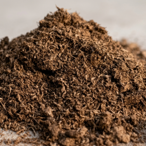 Musgo absorte de hidrocarburos